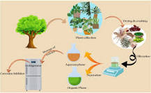 Green nanoparticles for advanced corrosion protection ...