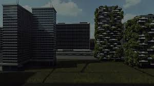 Image result for Boscia filipes