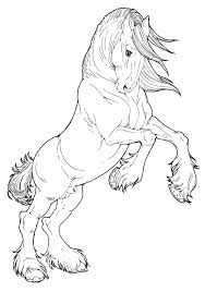 Easy how to draw a horse head. Clydesdale Stallion By Applehunter Deviantart Com On Deviantart Free For Use Credits And Link To Post Req Horse Coloring Pages Horse Drawings Horse Coloring