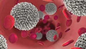 ‫NBCC - سرطان الدم النخاعي | الأعراض والأسباب والعلاج‬‎