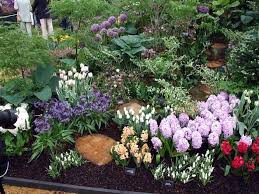 The Bulbs Of Summer Native Home Garden Design Bulbs Garden Design Spring Bulbs Garden Summer Bulbs