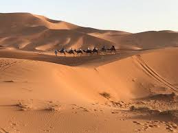 Merzouga is a village in the sahara desert in morocco , on the edge of erg chebbi, a 50km long and 5km wide set of sand dunes that reach up to 350m. Deserto De Merzouga Picture Of Trilho Salama Day Tours Marrakech Tripadvisor