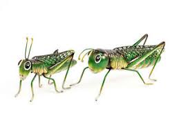 Es findet im gegensatz zu den holometabolen insekten, z.b. Grashupfer Aus Metall Gartenfigur Deko Grun Figur Garten Terrasse Auswahl Ebay