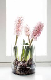 Welche Fruhlingsblumen Bluhen Wann Fruhlingsblumen Fruhling Blumen Fruhlings Dekoration