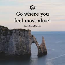 Skeleton driving a vw bus. Travelinsightpedia On Twitter Go Where You Feel Most Alive Where Do You Feel Yourself Most Alive Adventure Motivation