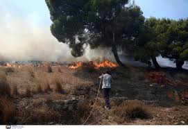 Ενίσχυση θα παρουσιάσουν οι βόρειοι άνεμοι στο αιγαίο και στα ανατολικά παραθαλάσσια τμήματα το σάββατο 14/08, με αποτέλεσμα να αυξηθεί ο κίνδυνος εξάπλωσης δασικών πυρκαγιών σε αυτές τις περιοχές. 3jfecyzgvwhwwm