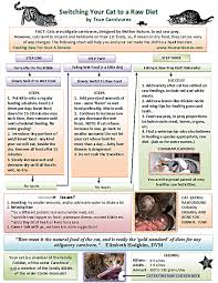 Raw Feeding Your Cat