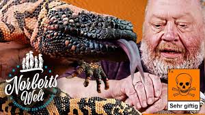 With bruce munson, adrienne atkins, bryan patrick mcculley, brian gross. Beisst Die Giftigste Echse Der Welt Gilamonster Giftig Und Hilfreich Norberts Welt Youtube