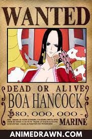 List Of One Piece Bounties 30 Character Ranked Anime One Piece One Piece Bounties Piecings