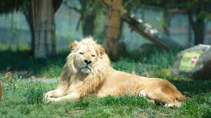 全国レジャー施設割引ナビ