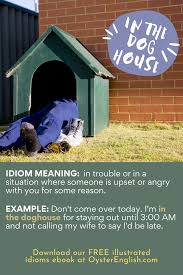 On public property yes of course they are allowed to sit outside in their shop (or panda uk). Idiom In The Doghouse Meaning Examples