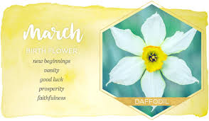March Birth Flower Daffodil Ftd Com In 2020 March Birth Flowers Birth Month Flowers Birth Flowers