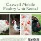 Caswell County Fall Poultry Processing Workshop event image