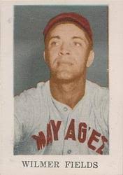 Wilmer Fields Gallery