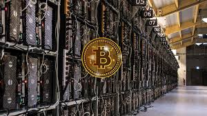 Graphic cards were then surpassed by asics (application specific integrated circuits). Kontrolliert China Den Bitcoin Block Builders De