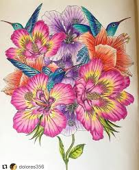 Hummingbirds are small, brightly colored birds that live in north america and south america. The Finished Page Looks Fantastic Dolores356 Love This Bright Colouring Birdtopia Daisyfletcher Coloringfor Coloring Book Art Flower Drawing Flower Art