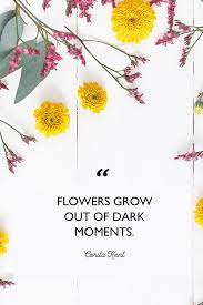 We did not find results for: 48 Inspirational Flower Quotes Cute Flower Sayings About Life And Love
