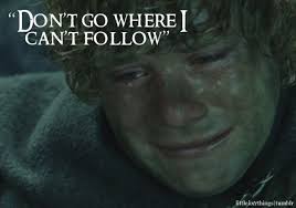 Don T Go Where I Can T Follow Awe Tolkien Zitate Herr Der Ringe Zitate Herr Der Ringe