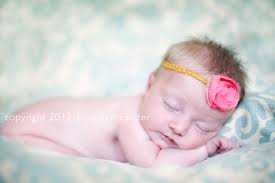 robin mcalister photography