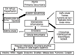 Los factores de coagulación se encuentran en el plasma, en el endotelio vascular, en células que participan en la. Disfuncion Multiorganica Y Coagulacion