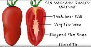 San marzano is an indeterminate type paste tomato, so the techniques are pretty. Tips On Growing San Marzano Tomatoes And Why Grow Them