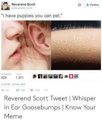 The best memes from instagram, facebook, vine, and twitter about goosebumps meme. 25 Best Memes About Whispering Meme Whispering Memes