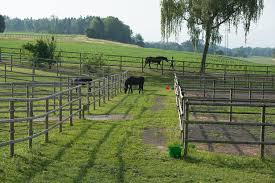 Zaunteam Tierhaltung Tiere Zaun Weidezaun