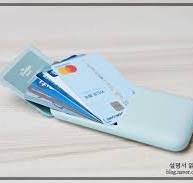 베루스 D-Wallet 담다 카드지갑 케이스, RFID신용카드나 교통 ...