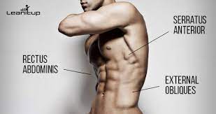 Ab Workout Ab Exercises Best Ab Workouts Ab Workouts Six Pack Workout Six Pack Workouts Stomach Exercises Six Pack How To Get Upper Abs Abs Workout Abs