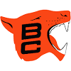 The bc lions are a professional canadian football team based in vancouver, british columbia. 3