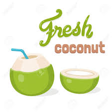Coconut water is one of the healthiest drinks on the planet coconut water contains a unique combination of b vitamins, vitamin c, micronutrients, and phytohormones that are exceptionally beneficial to your health. Fresh Coconut Water Drink Cartoon Drawing With Lettering Young Royalty Free Cliparts Vectors And Stock Illustration Image 93341130