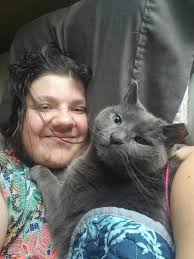 Missing Cat in West Boylston, Massachusetts, Near Worcester Line