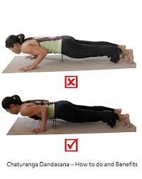 Chaturanga Dandasana How To Do And Benefits Yoga Anatomy Yoga Asanas Ashtanga Yoga