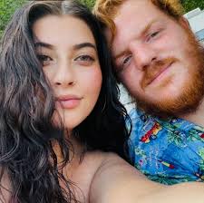 Dodge Journey electrical issues and warning lights