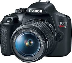 The Best Cameras For Beginners On A Budget 2019 Compacts Dslrs And Mirrorless Cameras Ephotozine