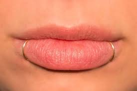 Fake Lip Ring Snake Bites No Piercing Required Lip Cuffs Silver Gold Rose Gold Faux Lip Ring Spider Bites Double Fake Piercing Labret Fake Lip Ring Fake Lips Face Piercings