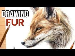 Using color called venetian red and dark grey, i do the gum. How To Draw Realistic Fur With Coloured Pencils Drawing Tutorial Youtube Colored Pencil Drawing Tutorial Realistic Drawings Color Pencil Drawing