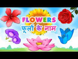 For flowers pictures check here flowers names with pictures scientific names are in red color arabian jasmine, jasminum sambac after this basic list we have given complete list in table with flowers details. Flowers Name In Hindi English à¤« à¤² à¤• à¤¨ à¤® Name Of Flowers List