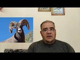 dromen youtube dua