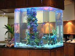 4.4 out of 5 stars. 30 Fish Tank Ideas For A Relaxing Home