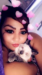 🎶 We are Siamese if you please 🎶