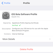 Why Can T I Download Ios 14 How To Fix