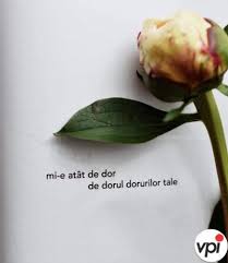 Daca ar fi sa iti fie dor de tine, care ar fi acele momente care iti lipsesc? Mi E Atat De Dor Viral Pe Internet
