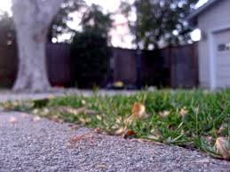 If the area is to be used by do this by covering the grass with gravel or another substance that will not burn, or use hardscaping in the area. 10 Things Your Landscape Designer Wishes You Knew About Gravel But Is Too Polite To Tell You Gardenista