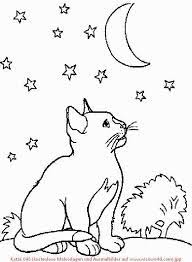 Katze 046 Kostenlose Malvorlagen Und Ausmalbilder Auf Www Wicoworld Com Jpg 600 817 Childrens Colouring Book Coloring Books Coloring Pages