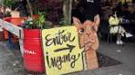 Cena en Bazar: Un Tesoro Oculto en Rotterdam - TikTok