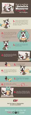 According to a story about the heimlich maneuver on radiolab a few years ago, heimlich actually tested his maneuver on his dog before using it on people. How To Perform The Heimlich Maneuver On Your Dog In 9 Steps Trudog