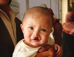 The Case Against America's Nightmarish Labor Law Robert VerBruggen The Case  Against America's Nightmarish Labor Law Robert V