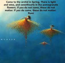 Pin On Rumi Quotes1