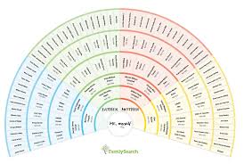 Time In A Blogttle 5 Generation Pedigree And Fan Chart